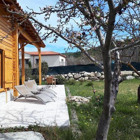 הוילה Corneilla-de-Conflent Chalet Mont Canigo מראה חיצוני תמונה