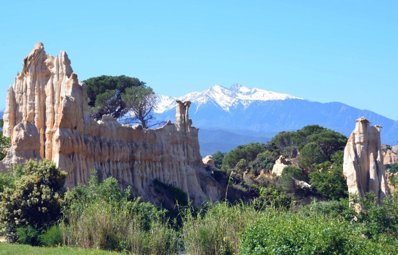הוילה Corneilla-de-Conflent Chalet Mont Canigo מראה חיצוני תמונה