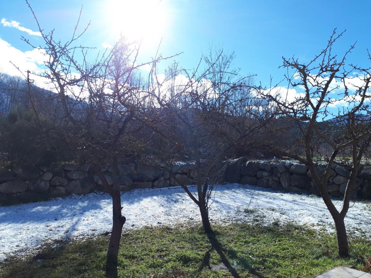 הוילה Corneilla-de-Conflent Chalet Mont Canigo מראה חיצוני תמונה