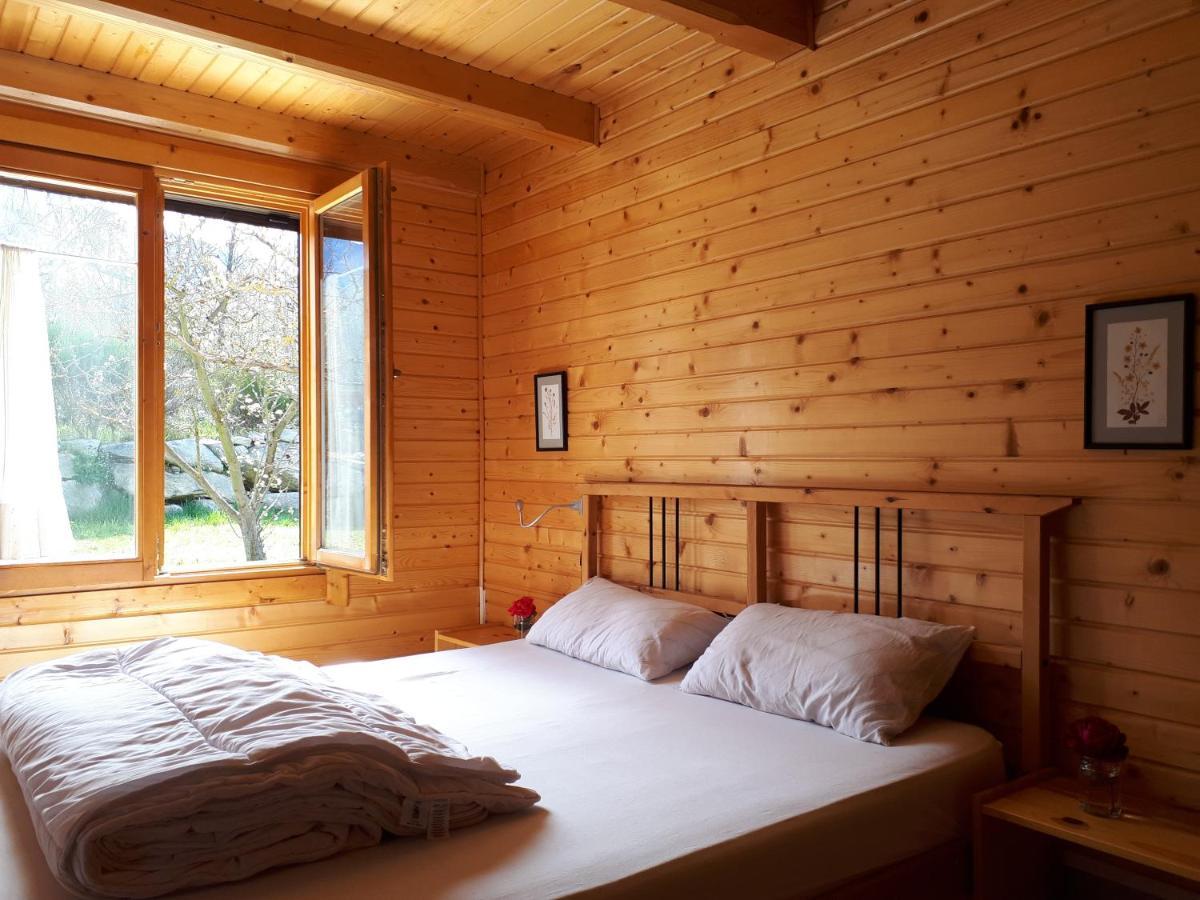 הוילה Corneilla-de-Conflent Chalet Mont Canigo מראה חיצוני תמונה