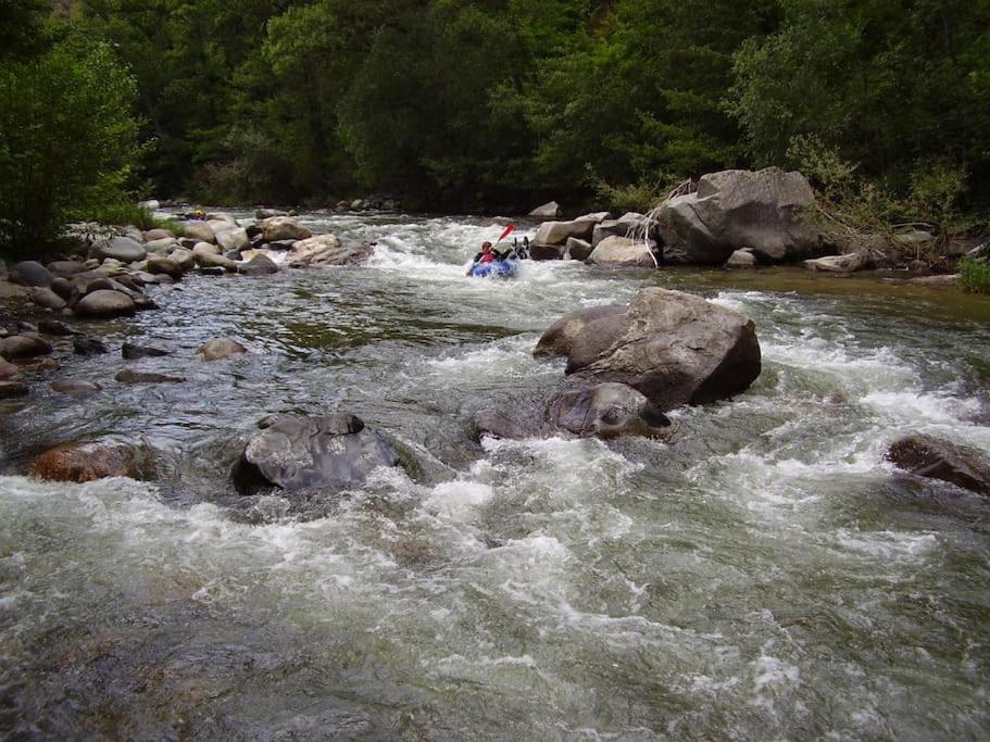 הוילה Corneilla-de-Conflent Chalet Mont Canigo מראה חיצוני תמונה