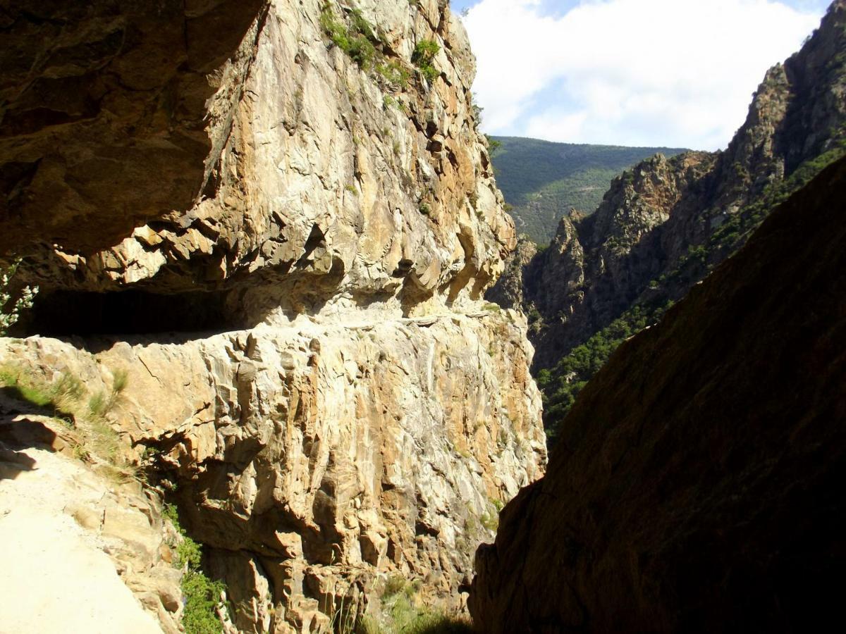 הוילה Corneilla-de-Conflent Chalet Mont Canigo מראה חיצוני תמונה