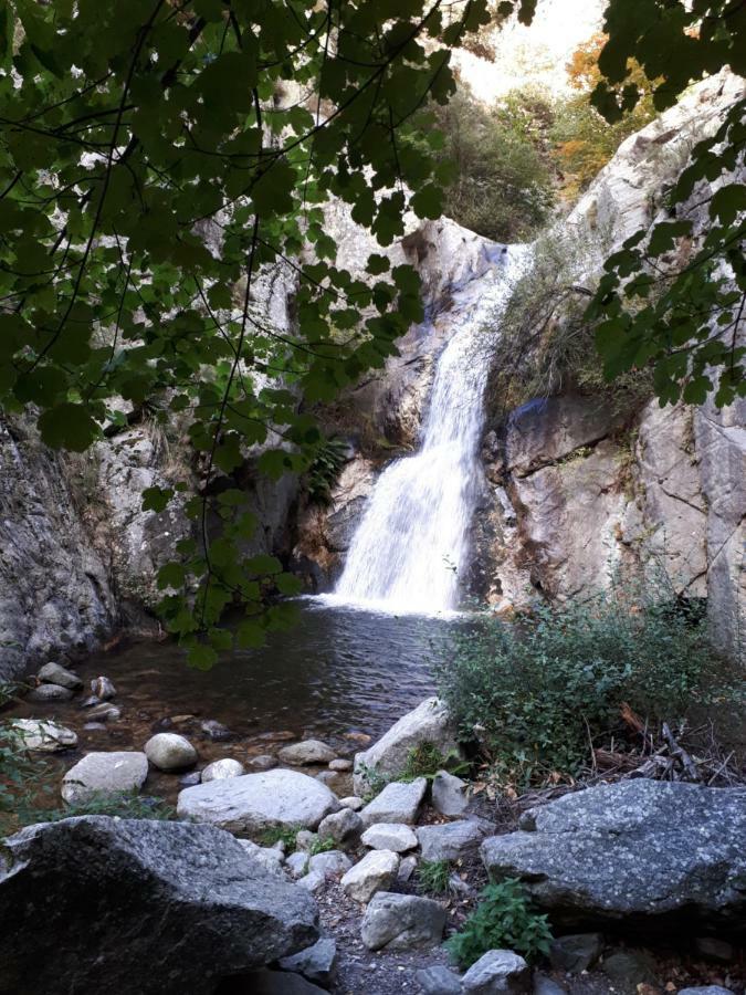 הוילה Corneilla-de-Conflent Chalet Mont Canigo מראה חיצוני תמונה
