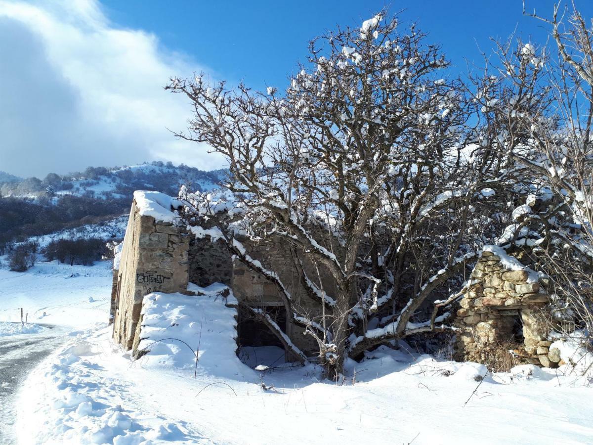 הוילה Corneilla-de-Conflent Chalet Mont Canigo מראה חיצוני תמונה